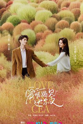 肃宁网站优化排名软件